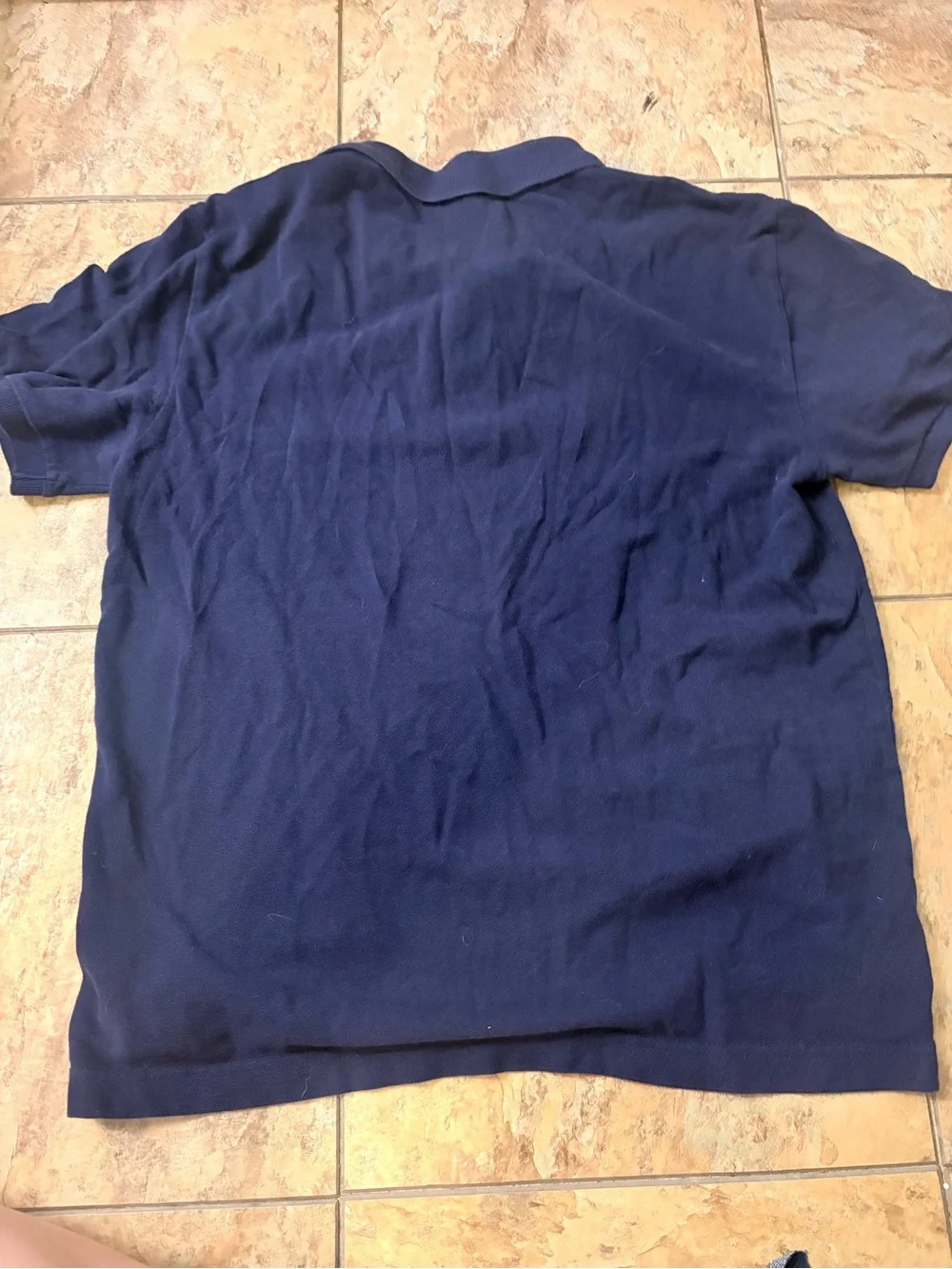 Ralph Lauren Navy Polo with Red Pony Embroidery